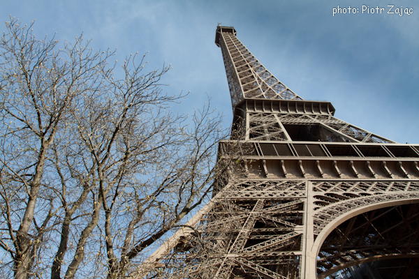 The Eiffel Tower in Paris